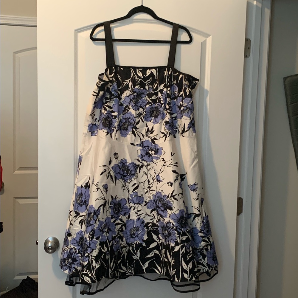 Dress Barn Gorgeous dress with mesh ruffle!